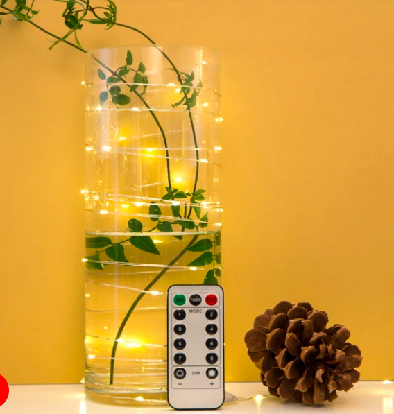 Studio Brillantine - Unique Home Lighting  - Kikkerland LED stringlight with remote