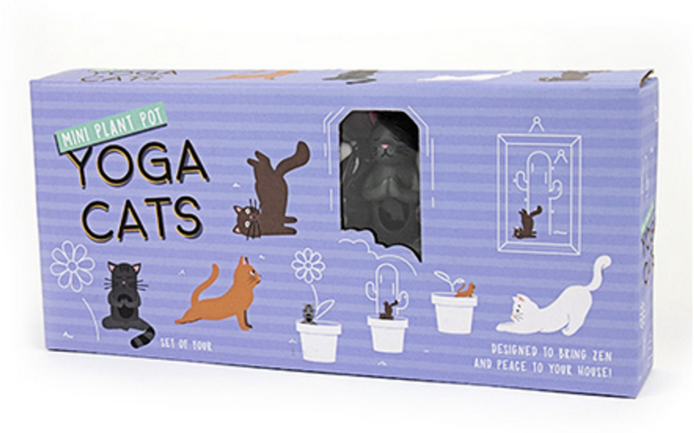 Mini Plant Pot Yoga Cats